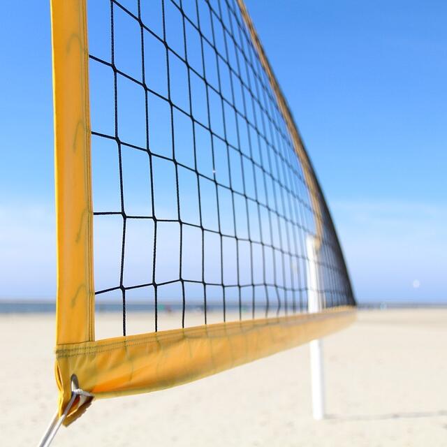 Filets de sport multi-usages à - Badminton Netting avis et prix